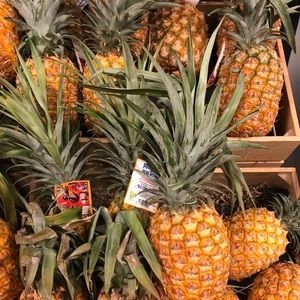 Meet your Posher, Vee